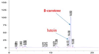 Characterization of carotenoids double-encapsulated and incorporate in functional stirred yogurt